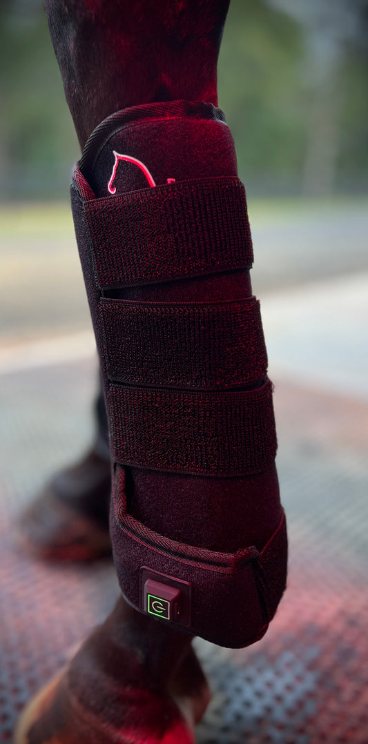 Red light tendon boot