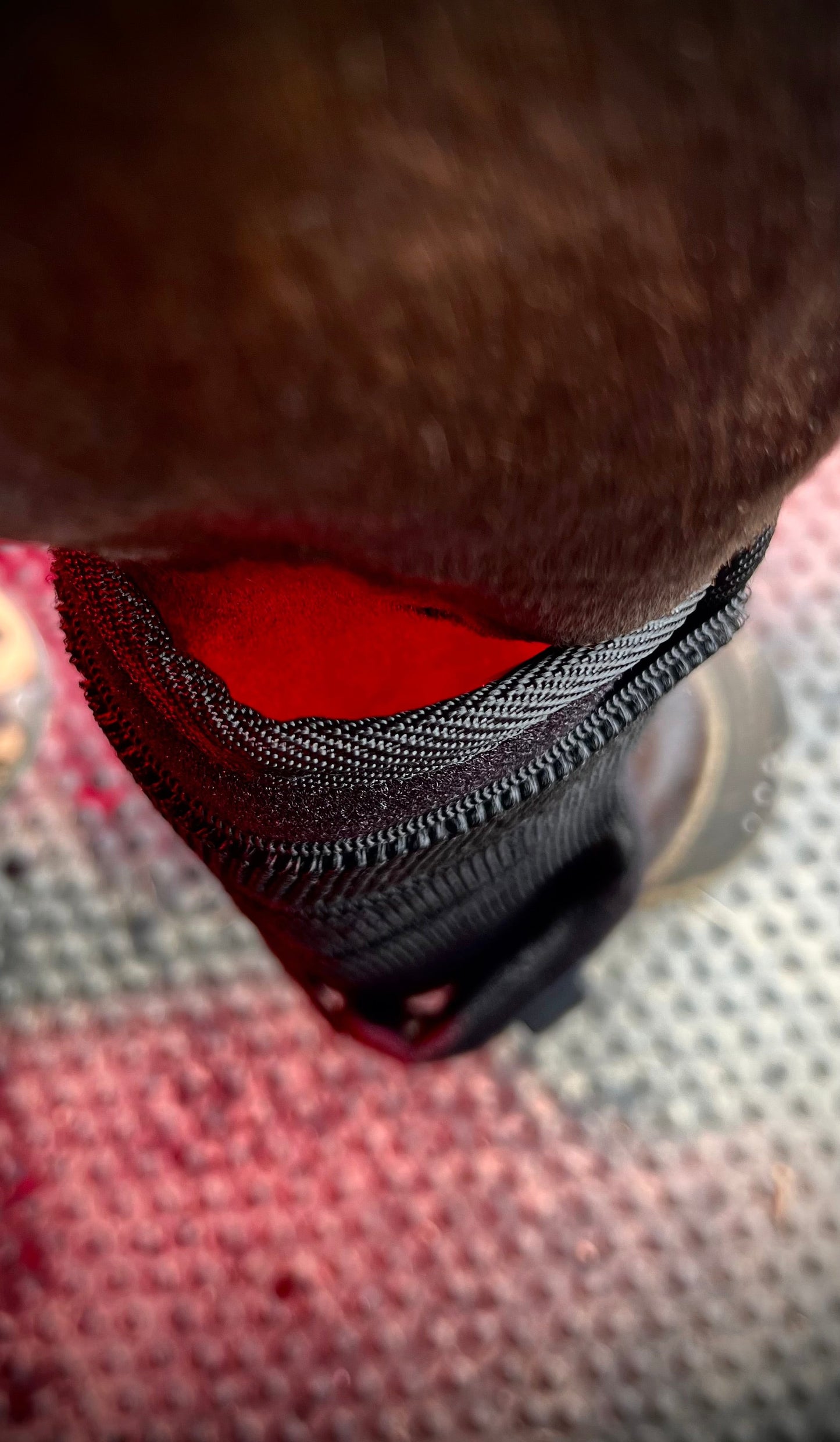 Red light tendon boots (pair)