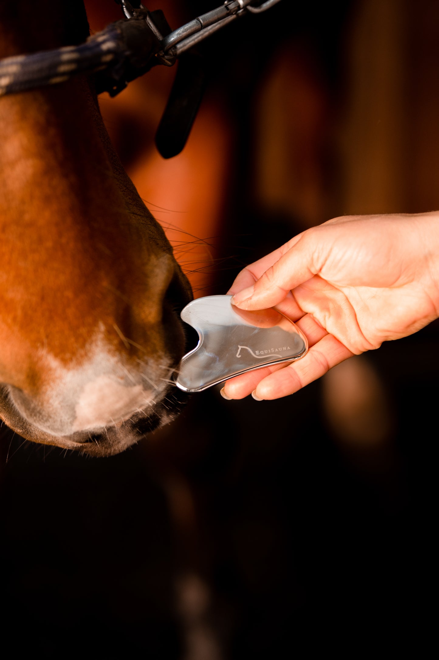 Equine Gua Sha Massage Tool