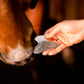 Equine Gua Sha Massage Tool
