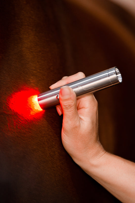 Red Light Therapy Torch